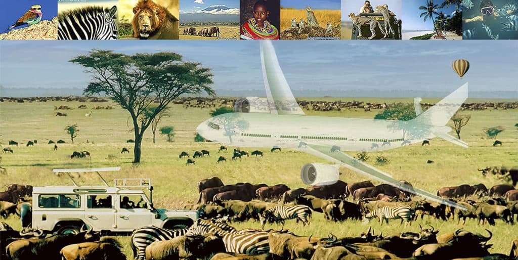 Choix safari Kenya, comment choisir ? migration Masaï Mara ou Amboseli ou Samburu ?