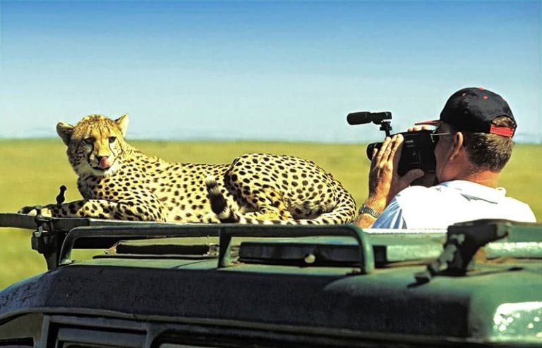 Guépard sur une voiture - Conseils photos guide en ligne pour safari photo en Afrique - guide de voyage safari en ligne
