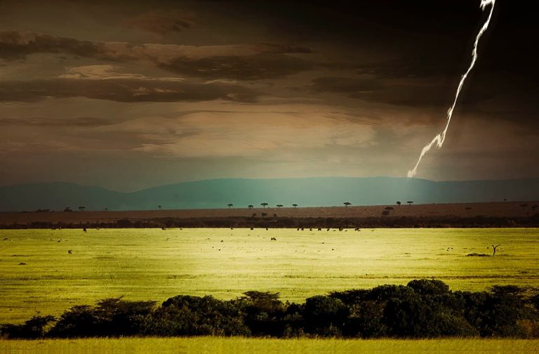 Meilleure date meilleure saison pour un safari