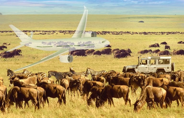 Safari grande migration Kenya Tanzanie