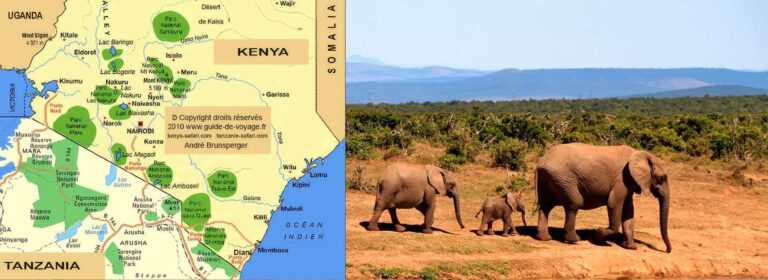 Guide safari, guide Kenya ou Tanzanie ?