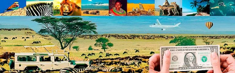 Guide Migration des Gnous